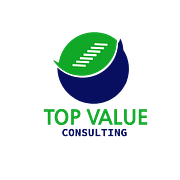 Logo top value consulting